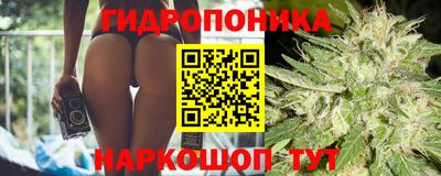 гашиш Дубна