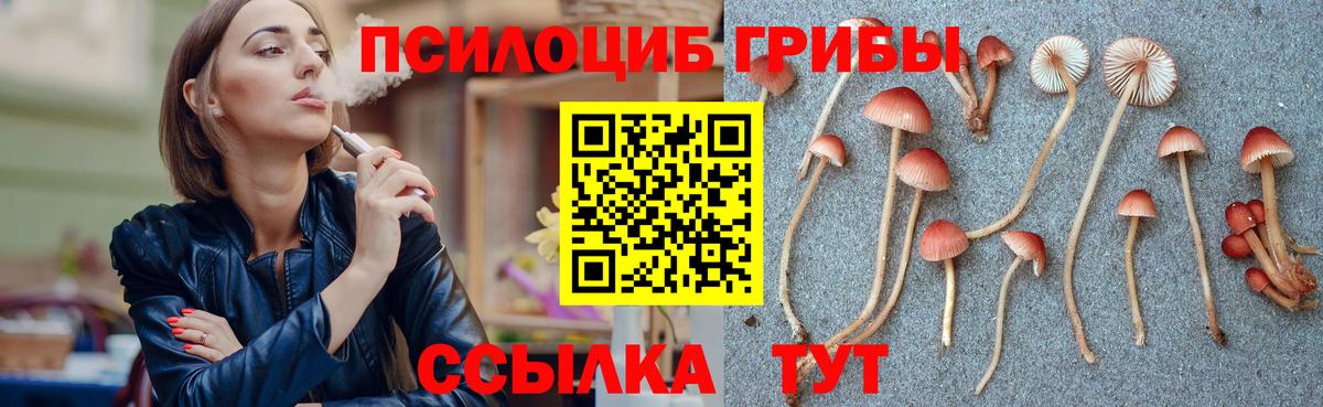 Псилоцибиновые грибы прущие грибы Луга